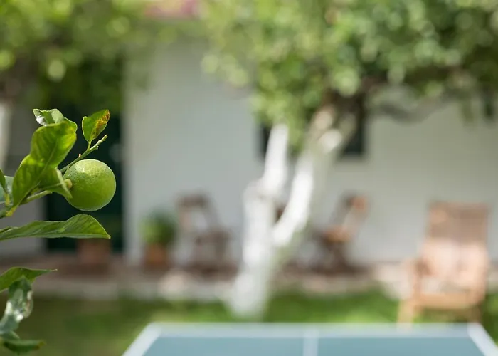 Peraspitaki Chania (Crete)